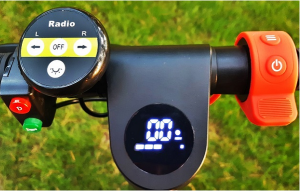 LEOWAY 2WD E-Scooter – E-King of the Urban Jungle!