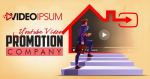 YouTube video promotion Company