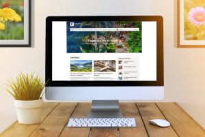 Expatica Austria printscreen