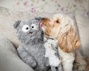 Ideal for Play and Cuddle