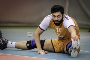 Reza Safaei