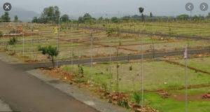 Godrej Woodland Plots - www.godrejwoodlandplots.co.in