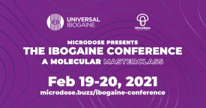 Ibogaine Conference