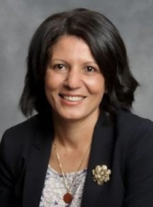 dr hegazy sm e1499806832148 223x300 1