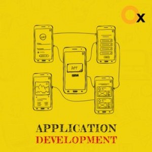 application development service