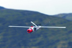 WARBLE FLY Air Target Fire System