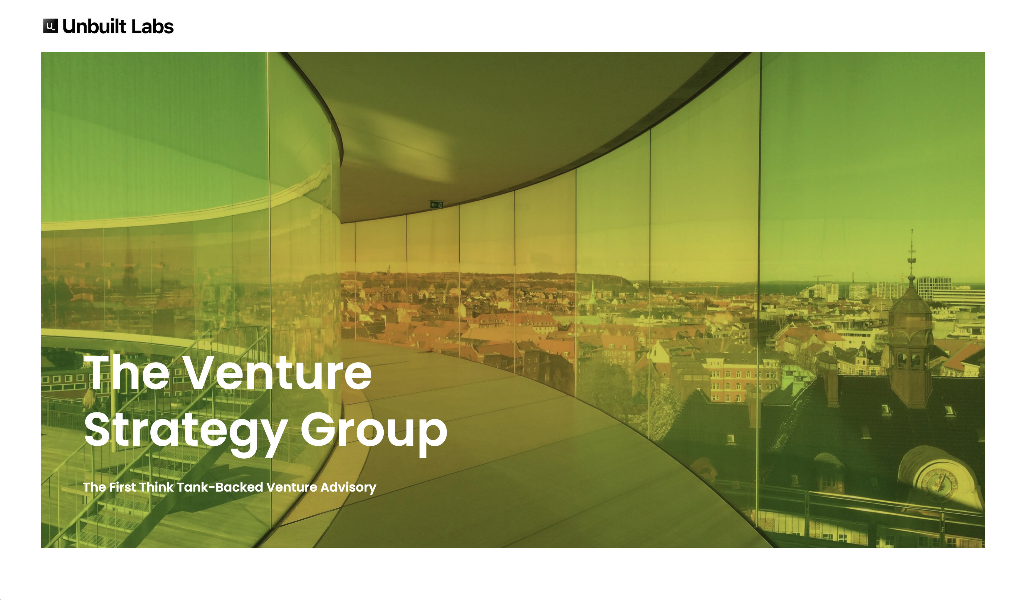 The Venture Strategy Group The Venture Strategy Group