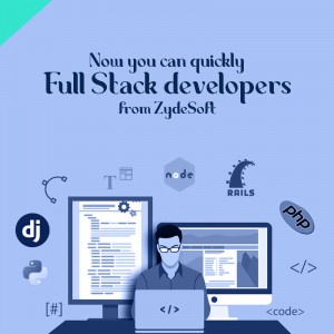 Full Stack developers