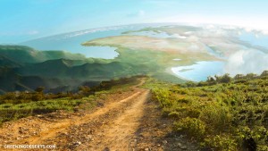 GreeningDesertsAfrica