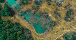 SpeciesProtectionCamp