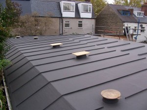ruben 6 ferns roofing
