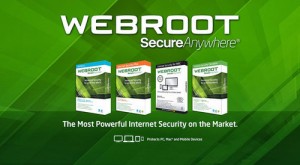 webroot secureanywhere antivirus 1 year 1 pc 500x500