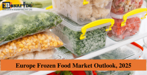 Europe Frozen Food Market Outlook 2025