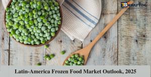Latin America Frozen Food Market Outlook 2025