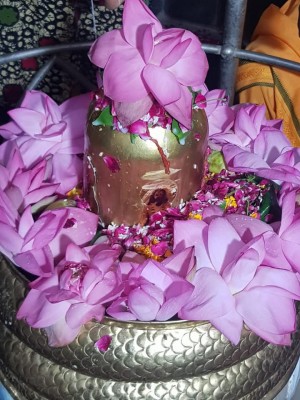 Devotees Performing Maha Rudrabhishek