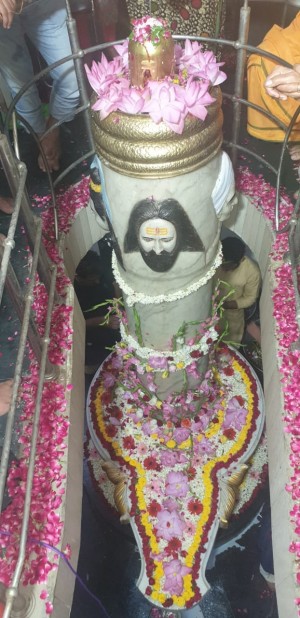 Guru ji Performing Abhishek