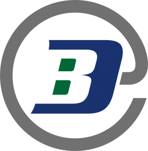 BD Icon Logo compressed