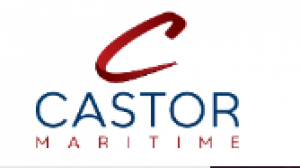 Value Stocks Are Now The Play: Castor Maritime (CTRM) Spotlight