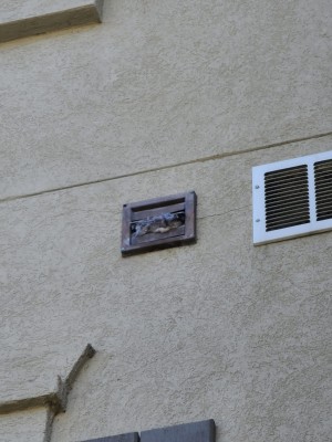 Clogged Dryer Vent outside of home