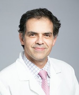 bahreman amirhassan 73995 2014