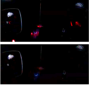 Cover of Paradox Lost, Marshall Barnes