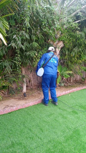 environment friendly pest control Dubai service