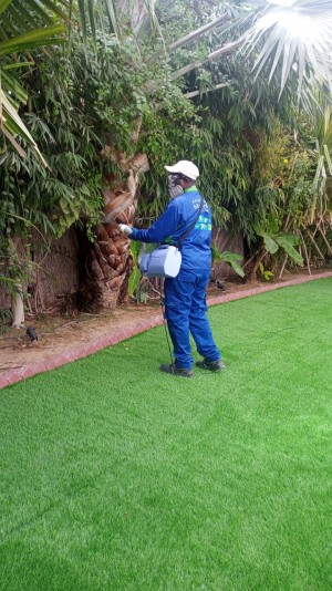 mckleenz pest control dubai team