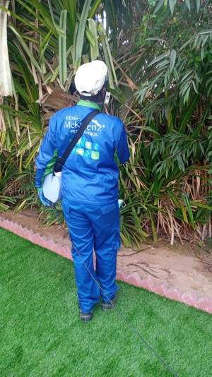 mckleenz pest control dubai technician
