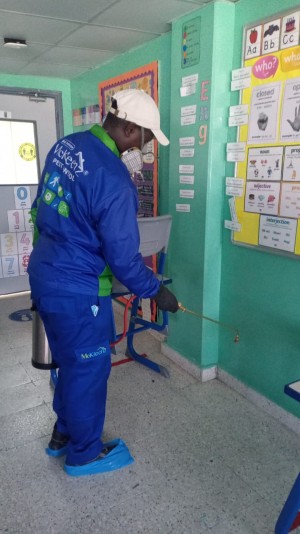 outdoor mosquito pest control Dubai company