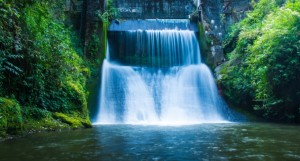 Ofer Levin Investments