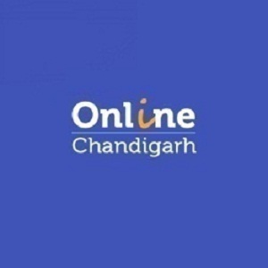 Best SEO Company in Chandigarh