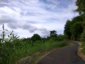 IMG 20180628 134656 HDR 01