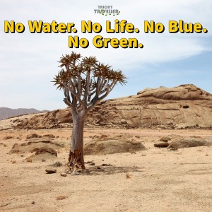 IMG 20210223 194219 900