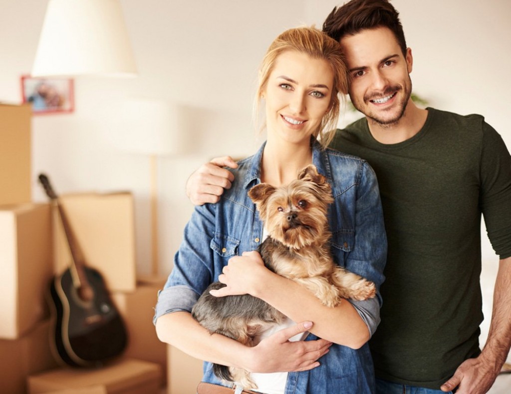 Luxury Pet Express Emerges As the Best Pet Transportation Company