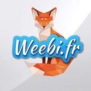 Weebi's - A Team Of Professionals For Developing Online Presence For Your Company 	