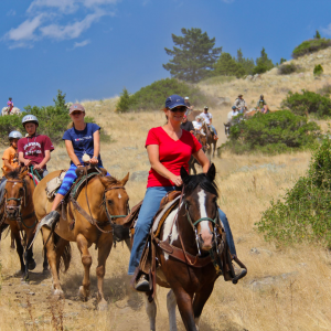 Horseback Riding