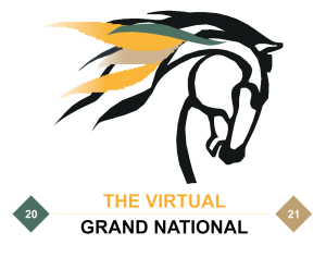 VGN Logo