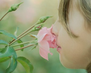 Olfaction Training