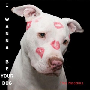 'I Wanna Be Your Dog' by The Naddiks