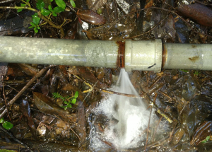 Fixing Your Burst Water Pipes