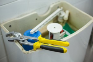 Fixing Your Toilet Cisterns