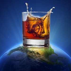 YOLO Earth WEB