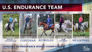 fei senior world champ team announcement graphic large