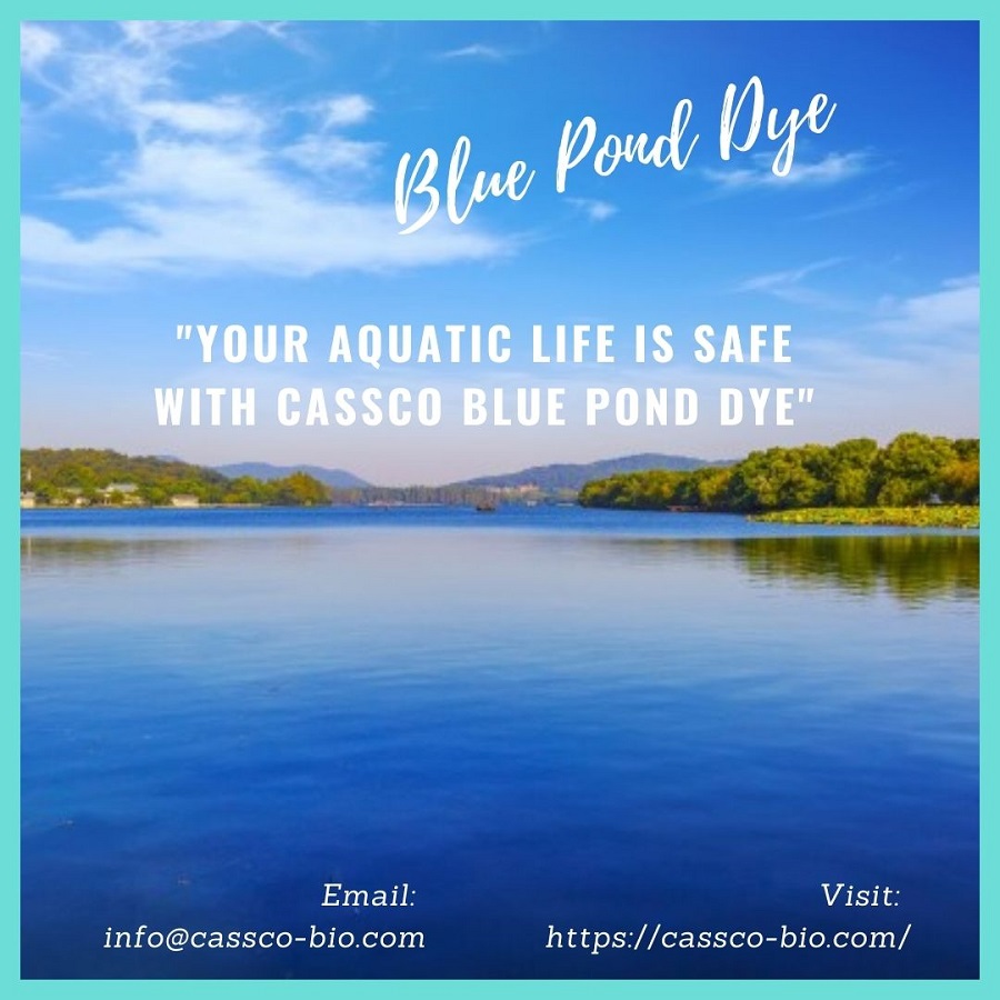 Is Blue Pond Dye Safe For Dogs