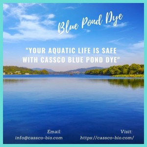 Blue Pond Dye