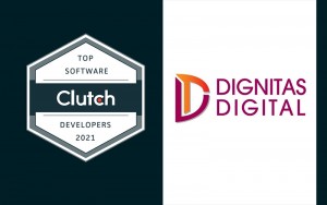 top software developer 2021