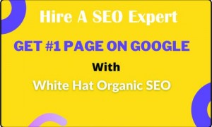 Cheap SEO Service