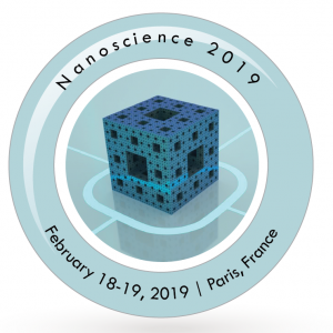 Nanoscience 2019  LOGO