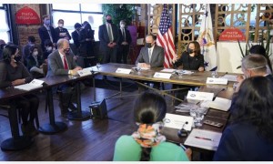 Madhvi Chittoor attends round-table discussion with Madam VP Harris.