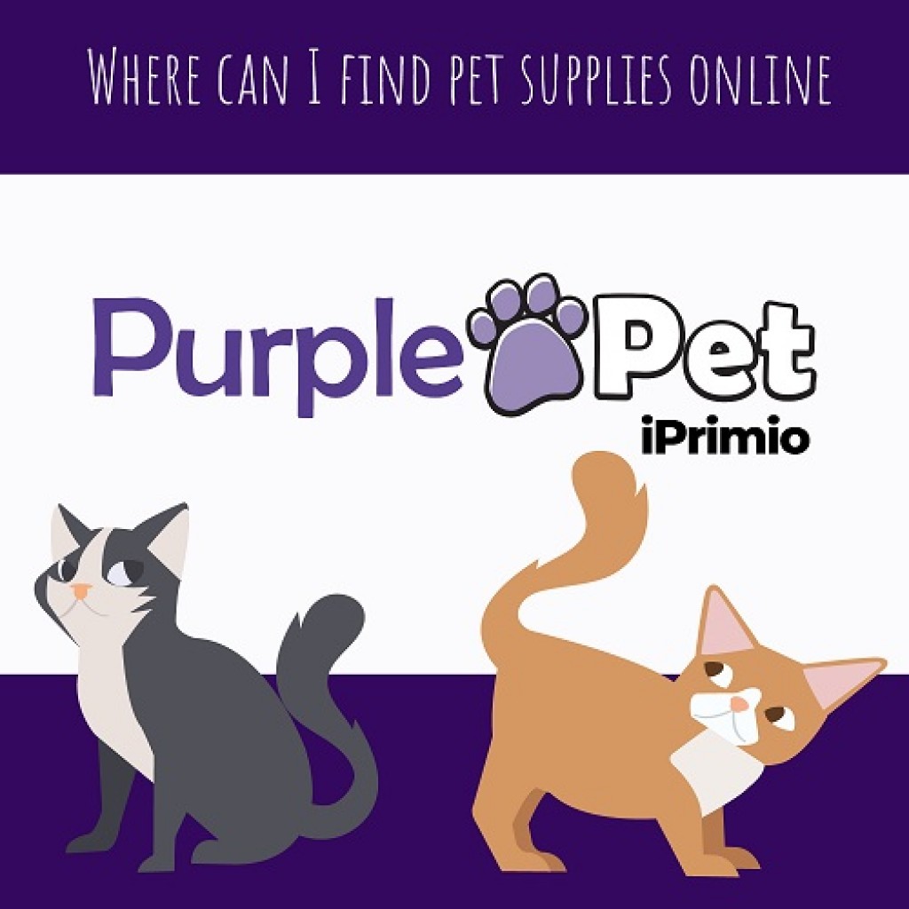 Things to Consider when Buying Pet Supplies Online IssueWire